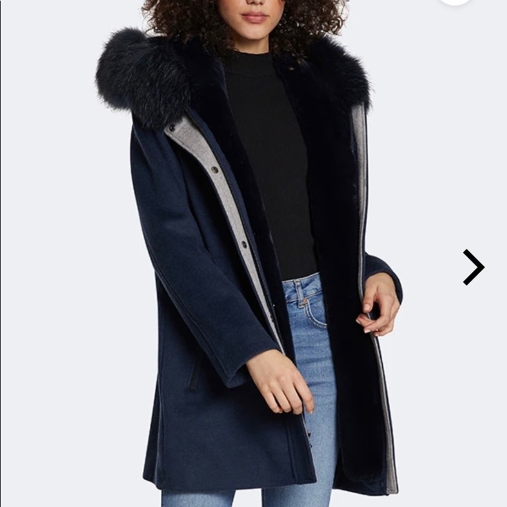 Dawn Levy coat